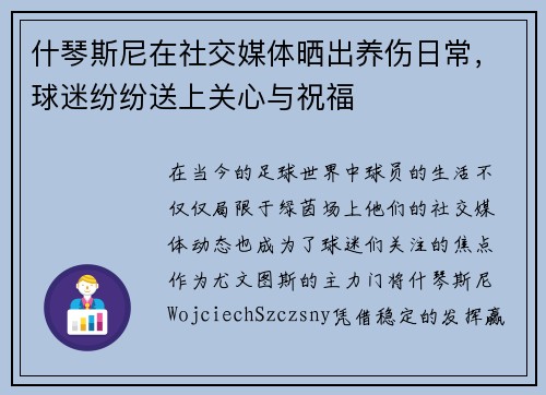 什琴斯尼在社交媒体晒出养伤日常，球迷纷纷送上关心与祝福